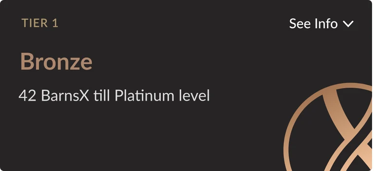 Barn’s X Bronze tier card